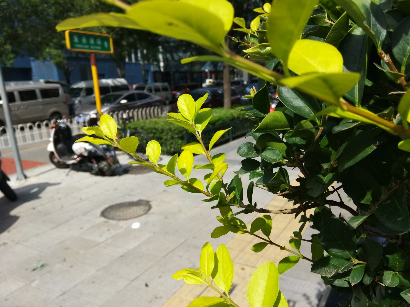 酷派cool1怎么样,酷派cool1dual点评