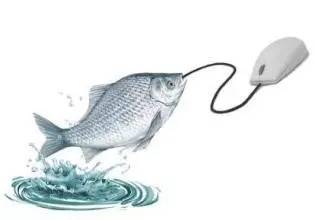 生鲜电商如何运营的,生鲜电商为什么总是赔钱