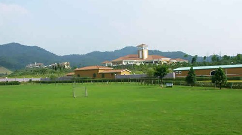 国庆带狗狗适合去哪玩,国庆狗狗出去浪