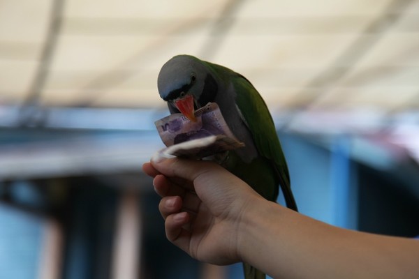 去大连必须做的6件事,去大连一定要做的事