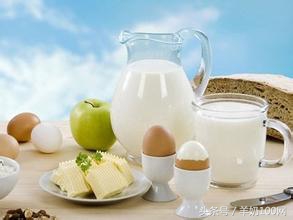 羊奶不是药,羊奶不杀菌能喝吗