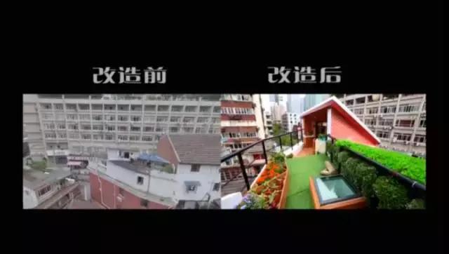 男神设计师走了以后,这间被爆改的纸片屋还能维持多久