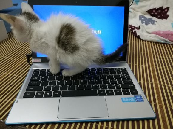 青春小蓝平板电脑怎么样,海尔青春小蓝2pro