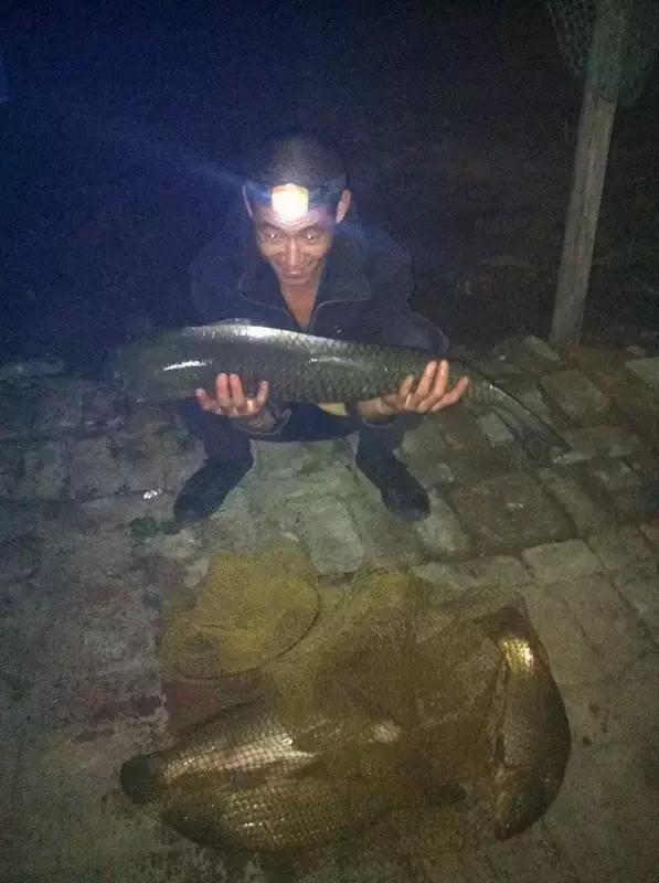 呼叫苞米、苞米、苞米......上大鱼啦~