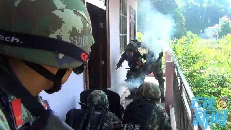 越南反恐行动,越南反恐演习