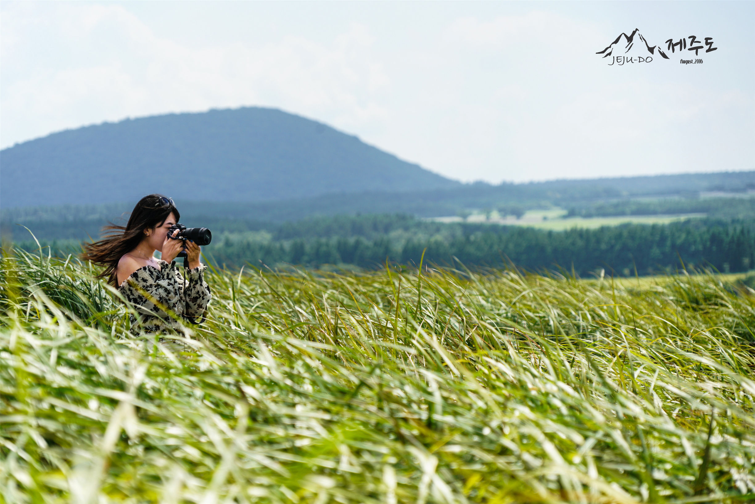 济州岛雨天旅行攻略视频,冬季济州岛亲子游详细攻略
