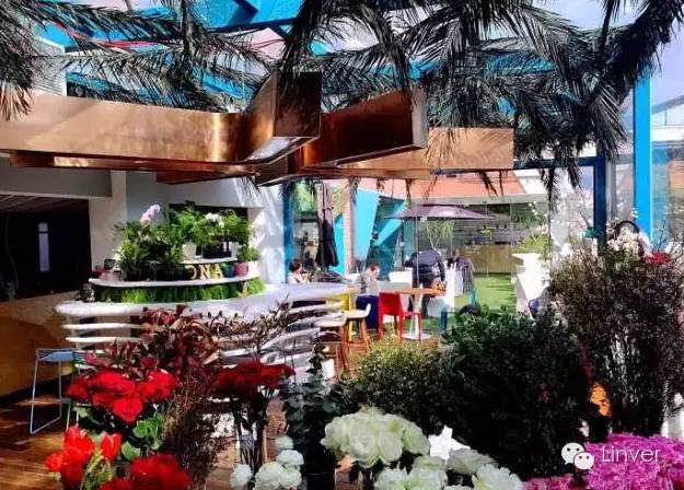 comeon网红,comeon到底是啥意思