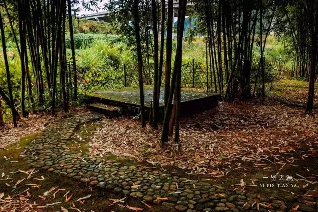 永安：抗战时期的省会，被遗忘的闽中古堡