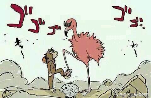 明哥和路飞谁拖了10分钟,路飞跟明哥对脚是哪集