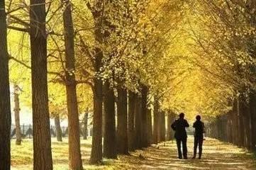 四川十大最黑景点,四川最土的景点