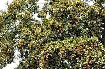 四川十大最黑景点,四川最土的景点