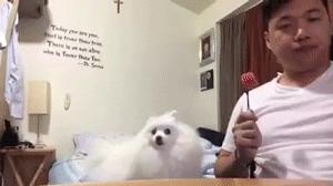 技能贴！教你如何和男朋友分手