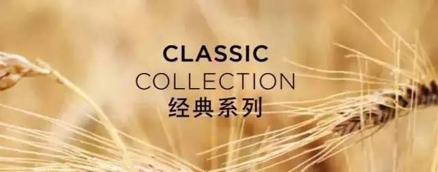 为何这款风靡酒店圈的小黑瓶备受高端酒店青睐？