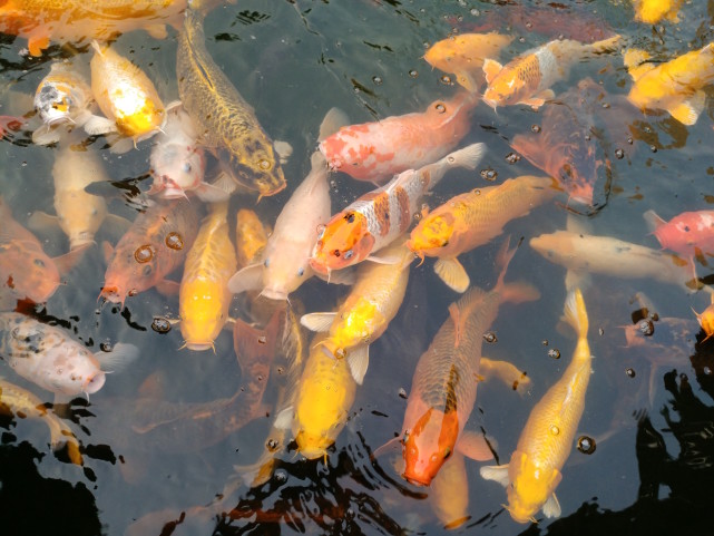 乐pro3手机,乐pro3和乐pro2有什么区别