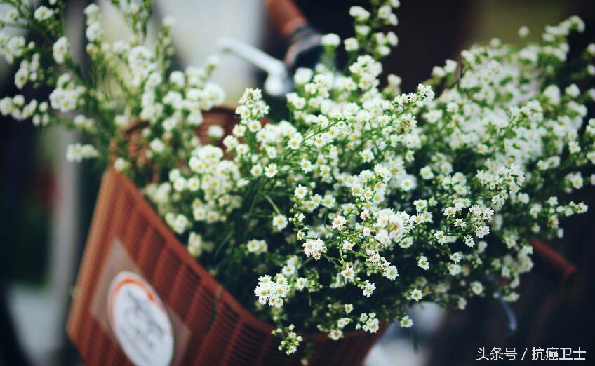 适合每一位家里有重病的人阅读：癌症老者的生死观，值得敬重！