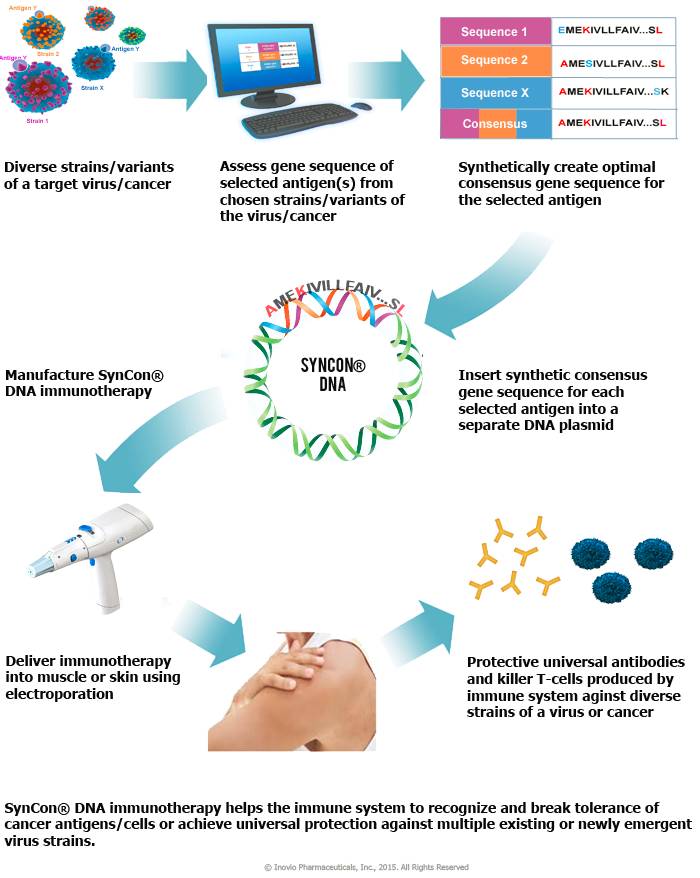 Inovio——癌症治疗与疫苗结合新技术你会错过吗？