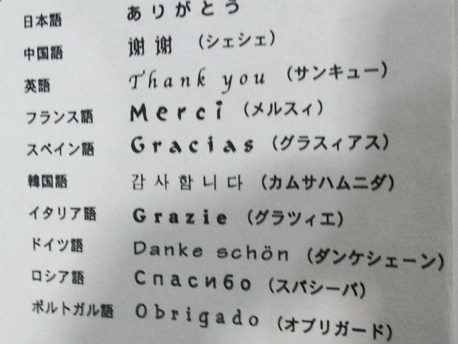 日本网友谈汉语,日本网友评论中法