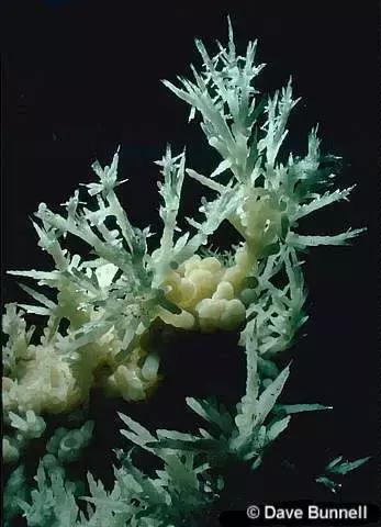 世界112种宝石矿物,盘点那些奇怪宝石矿物