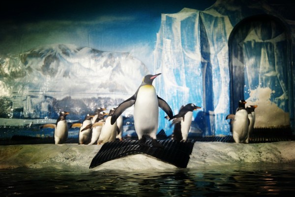 去大连必须做的6件事,去大连一定要做的事