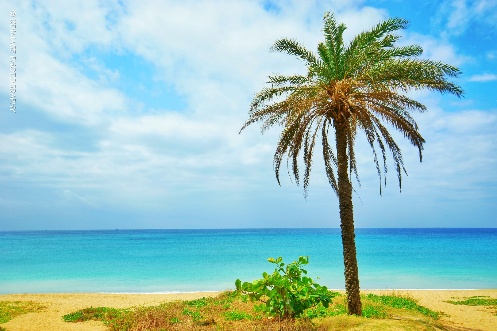 详细的宝岛台湾旅游攻略,宝岛台湾旅游线路攻略图
