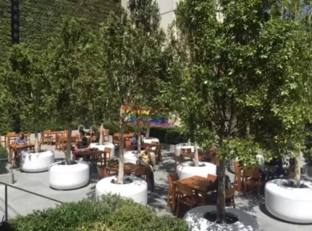 你盼着给祖国母亲过生日，我瞅着他们在自家种树