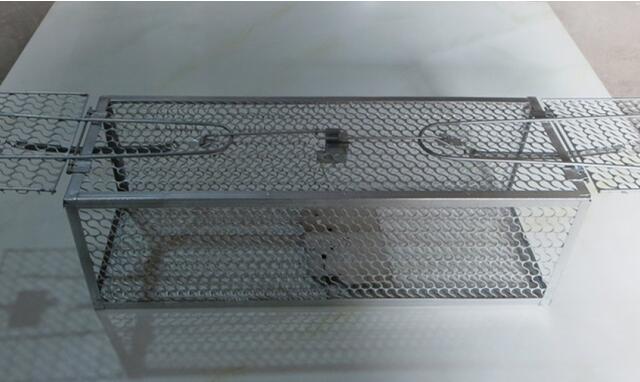 老鼠对家禽有什么危害,老鼠对鸽舍的危害