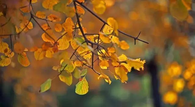 一周去哪里玩,旅游玩3天去哪玩
