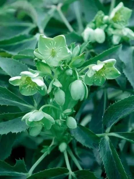 15个高颜值花园庭院设计,冬日无阳光的后花园庭院设计