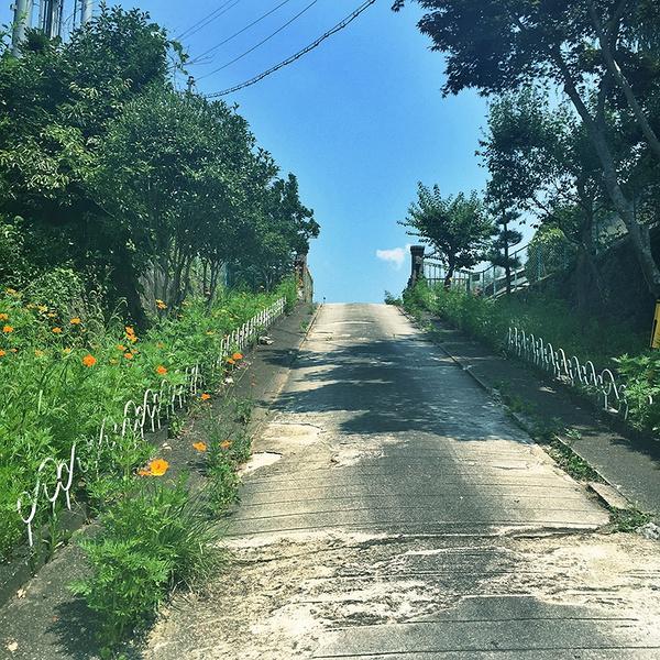 你看起来很好吃日本治愈系,你看起来很好吃日本原版中文