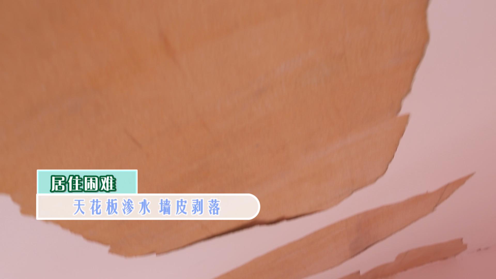 梦想改造家王平仲视频完整版,梦想改造家王平仲