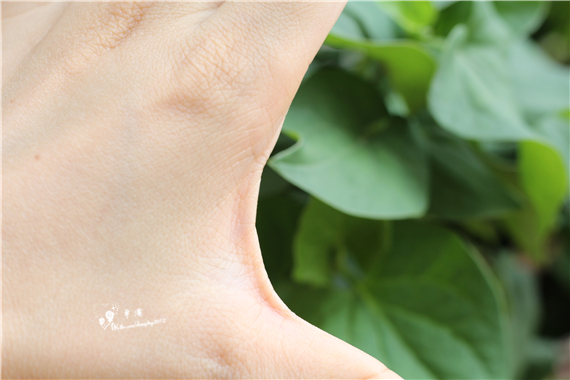 秋高气爽进补好时节,秋高气爽添衣保暖