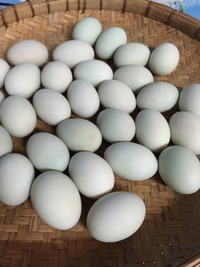 做咸蛋怎么做法最好吃不会裂壳,怎么泡咸蛋才能做出没有油的咸蛋