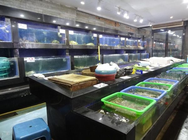 观音山附近海鲜大排档,厦门观音山渔夫码头酒楼