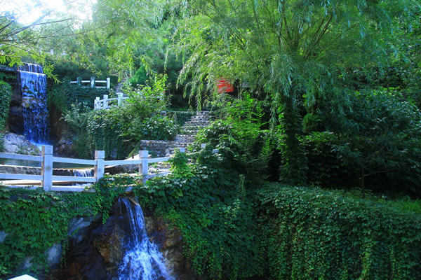 国庆带狗狗适合去哪玩,国庆狗狗出去浪