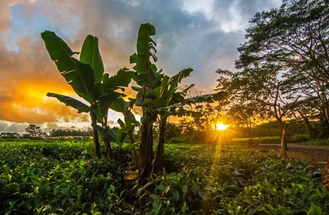 毛里求斯春节攻略,毛里求斯岛旅游的最佳季节