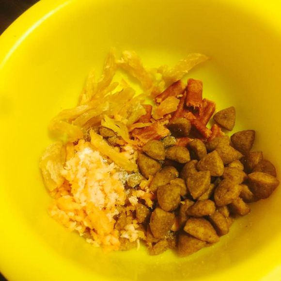 小博美患细小病毒能治疗吗,博美细小治好几率有多大