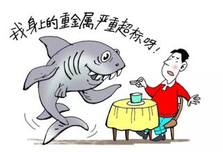 怀孕了这些食物尽量不能多吃,怀孕期间不能吃的有哪些