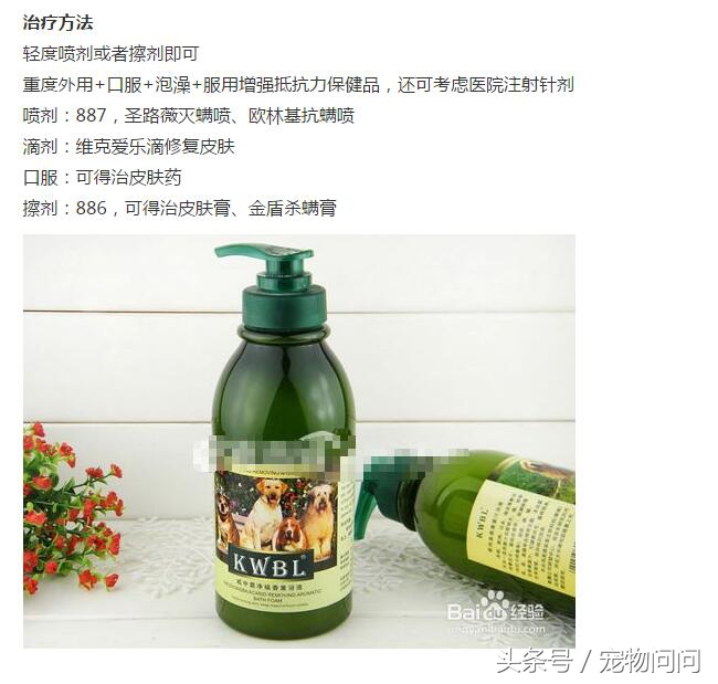 狗狗长满螨虫怎么治,宠物螨虫皮肤病用什么药