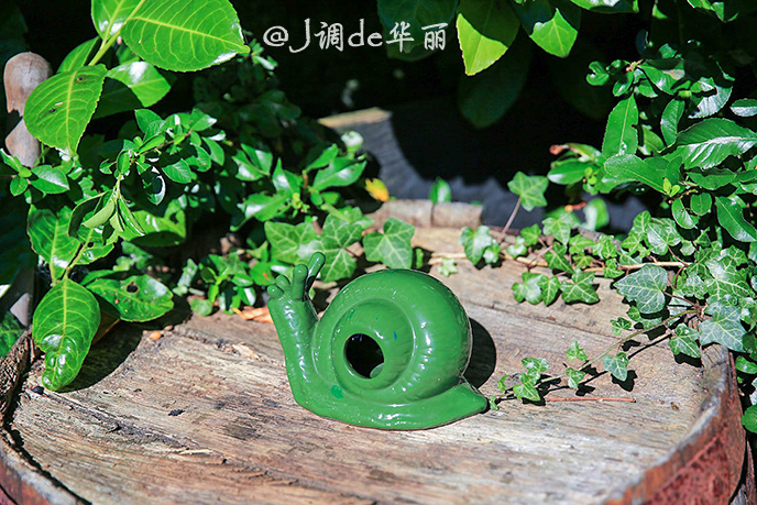 欧洲最美水乡荷兰羊角村,荷兰羊角村美丽的童话世界