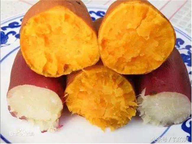 钩尖江湖蚯蚓饵料测评,钩尖江湖公布的几款饵料配方