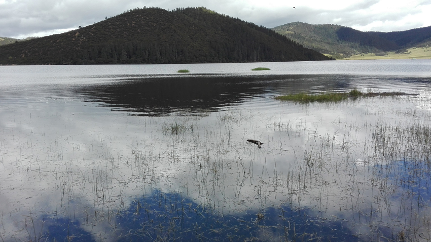 神奇神秘神圣的香格里拉,神秘的香格里拉大结局