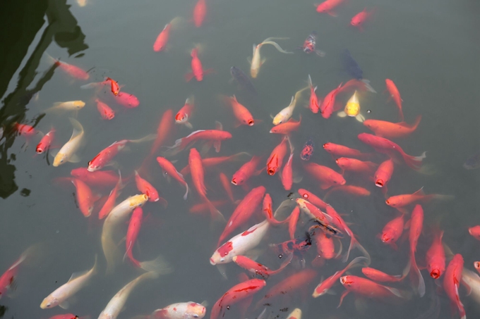 杨家将的天波杨府在哪里,天波杨府的故事