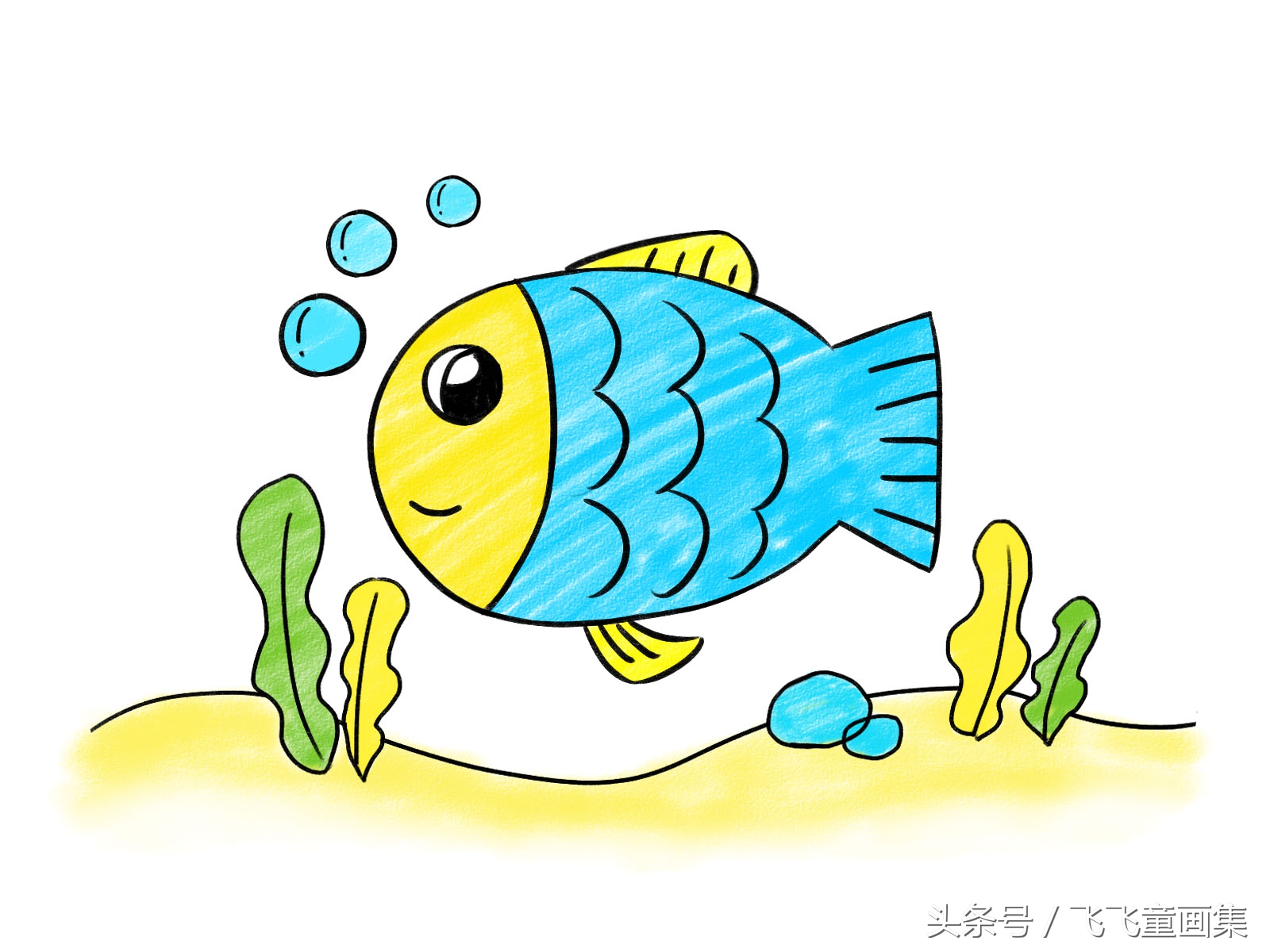 鱼的简笔画又可爱又简单的小鱼,小鱼海洋动物简笔画简单又好看