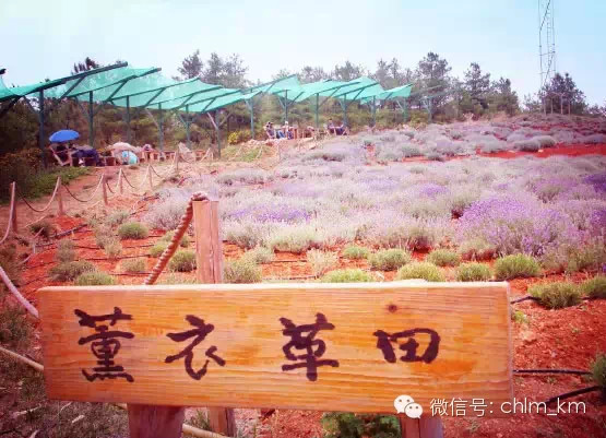 板扎昆明,板扎云南烧烤