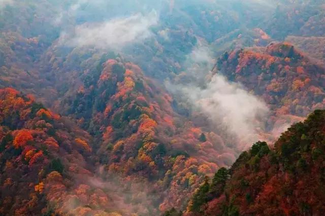 如果你来广元,我才不带你去剑门关嘞!