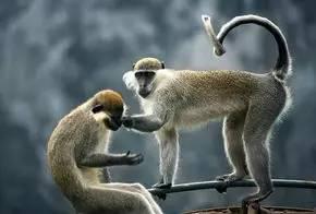 合肥市国庆期间有哪些亮点,合肥国庆七天怎么安排