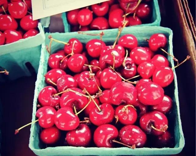 最有营养的葡萄品种,果香味浓郁的葡萄品种