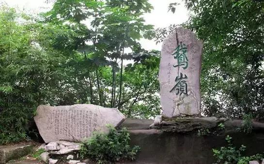 重庆专属惠民福利,重庆免费领取特权项目