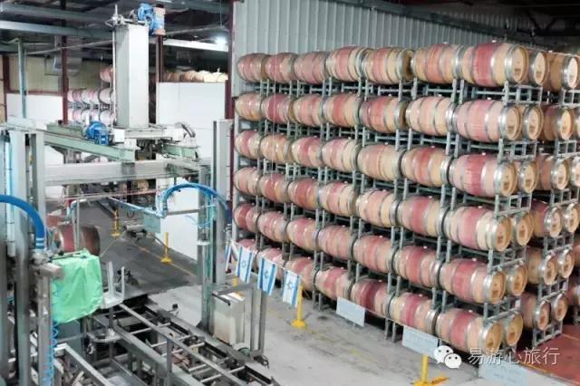 以色列死海体验,波塞冬死海漂浮体验