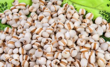 脾虚湿气重吃什么食物,春天湿气重吃什么食物